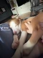 Zdjęcie: Louis & Sylwia