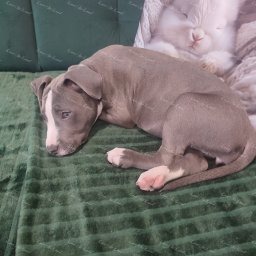 Zdjęcie: Merci & Marlena