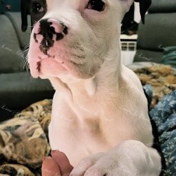 Zdjęcie: Róża & Natasza