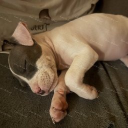 Zdjęcie: Lucy & Monika i Mariusz