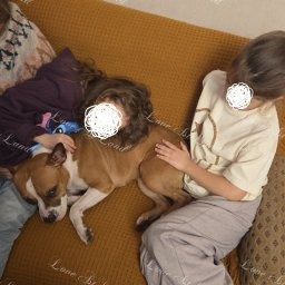 Zdjęcie: Diva & Mateusz