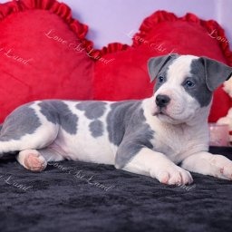 Zdjęcie Ines